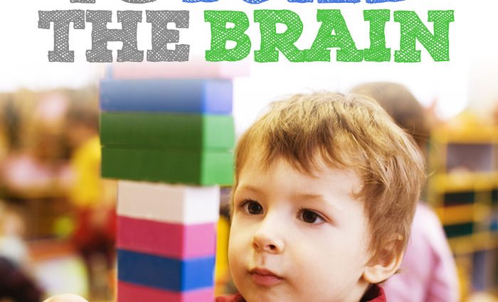 How to show a child the human brain and heart? Preferably through play