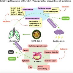 How to sleep well during a pandemic. Does Melatonin Affect COVID-19?