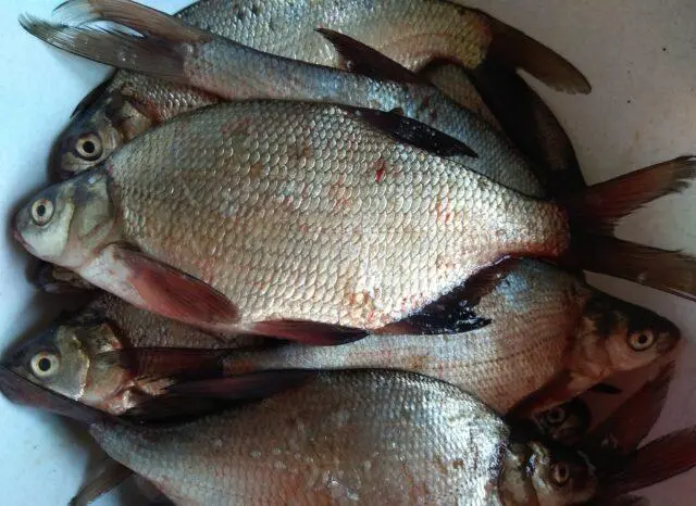 How to smoke hot smoked bream: in the smokehouse, in the oven, photo, calorie content