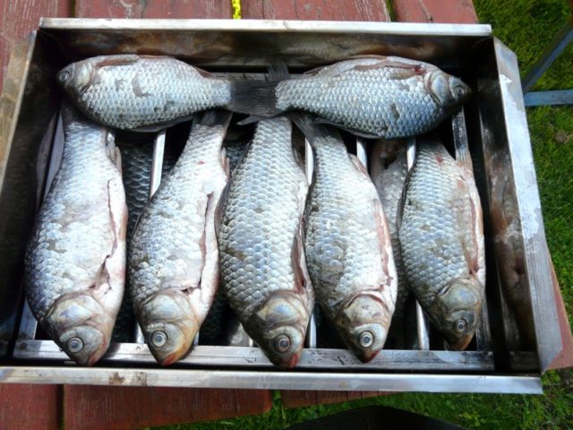 How to smoke hot-smoked crucian carp in a smokehouse, at home