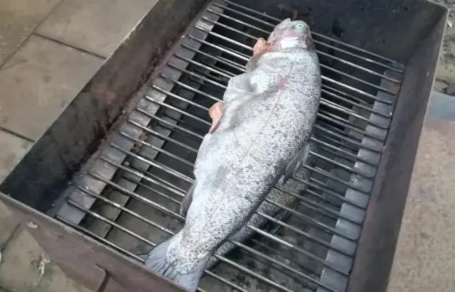 How to smoke hot smoked trout at home