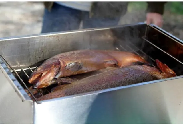 How to smoke hot smoked trout at home