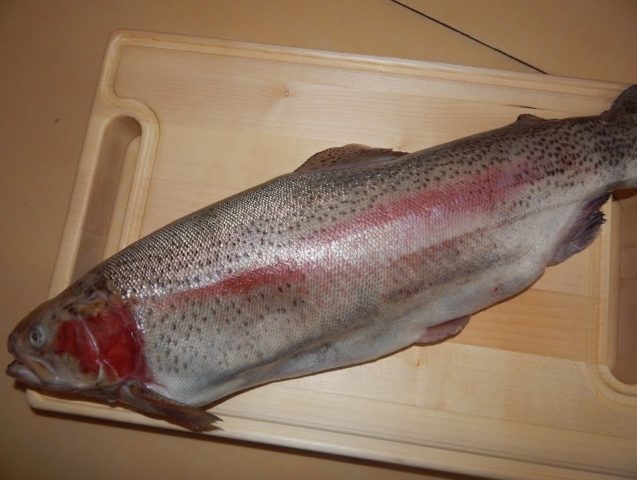 How to smoke hot smoked trout at home