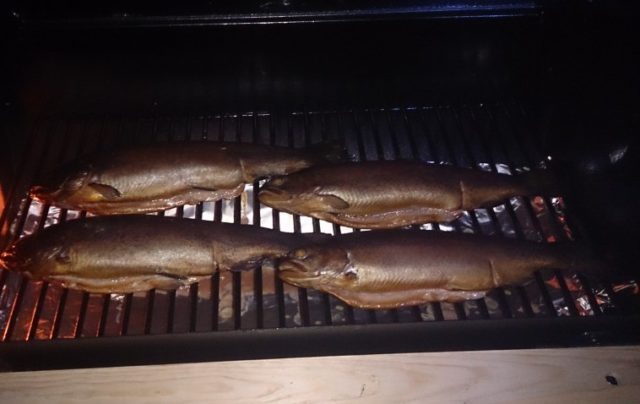 How to smoke hot smoked trout at home