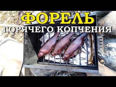 How to smoke hot smoked trout at home