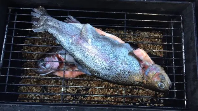 How to smoke hot smoked trout at home