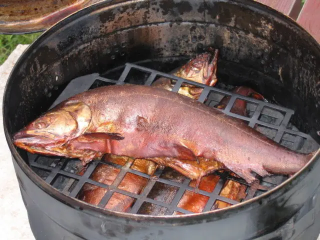 How to smoke hot smoked trout at home