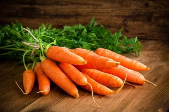 How to sow carrot seeds 