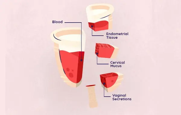 How to speed up the period?