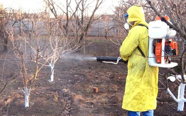 How to spray peaches in autumn: instructions and solutions