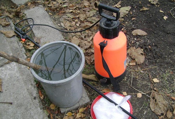 How to spray peaches in autumn: instructions and solutions