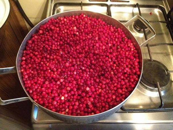 How to steam lingonberries