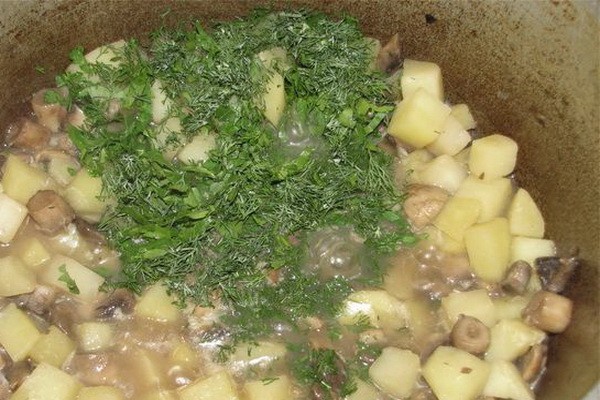 How to stew potatoes with mushrooms in a cauldron