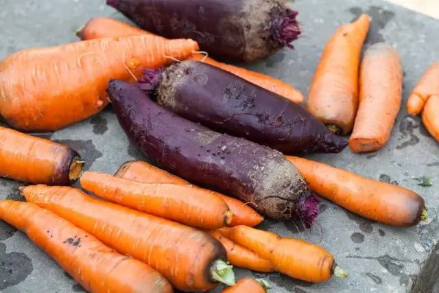 How to store beets and carrots in the cellar 