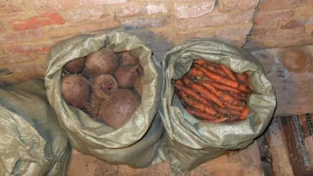 How to store beets and carrots in the cellar 