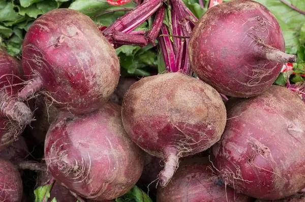 How to store beets in the winter in the cellar 