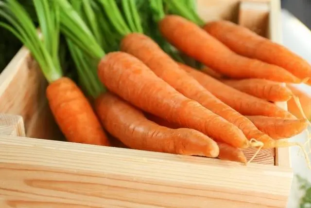 How to store carrots for the winter