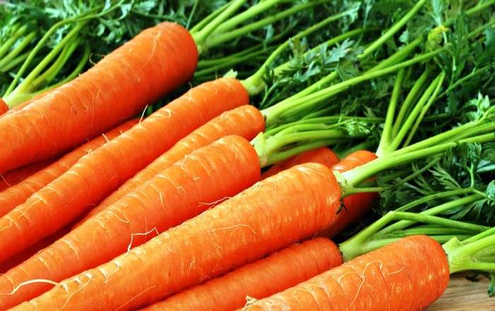 How to store carrots: in the cellar, basement, peat, sand