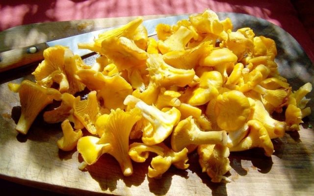 How to store chanterelles for several days and for the winter