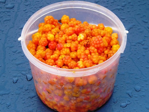 How to store cloudberries