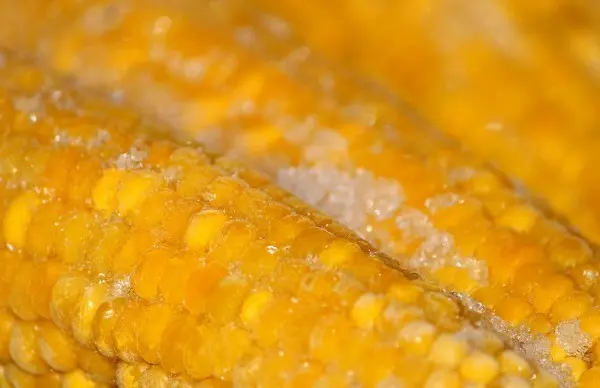 How to store corn on the cob at home: ways