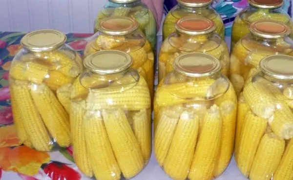 How to store corn on the cob at home: ways