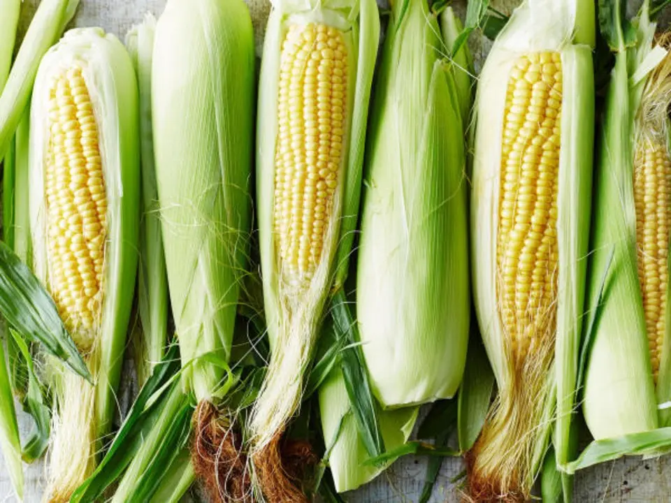 How to store corn on the cob at home: ways