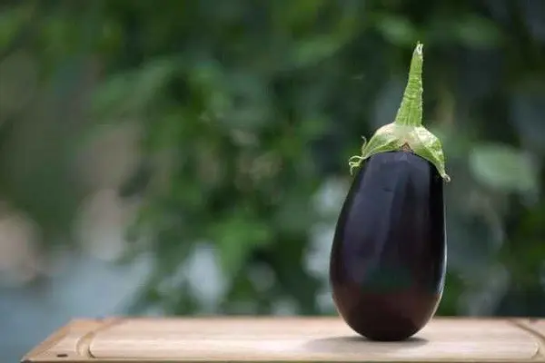 How to store eggplant at home in winter?