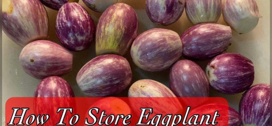 How to store eggplant at home in winter?