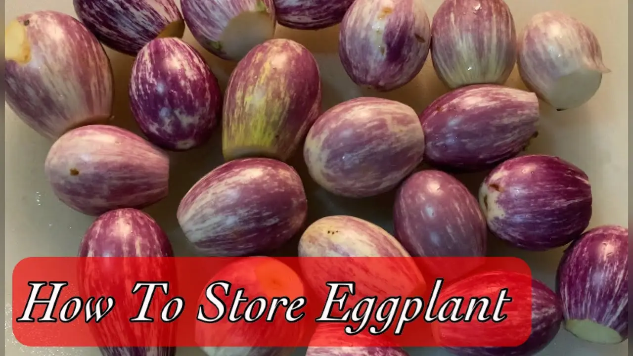 How to store eggplant at home in winter?