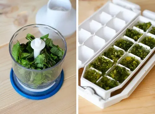 How to store fresh mint and preserve its properties