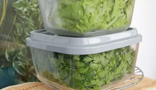 How to store fresh mint and preserve its properties