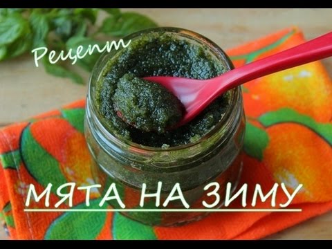 How to store fresh mint and preserve its properties