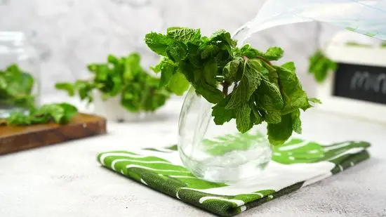 How to store fresh mint and preserve its properties