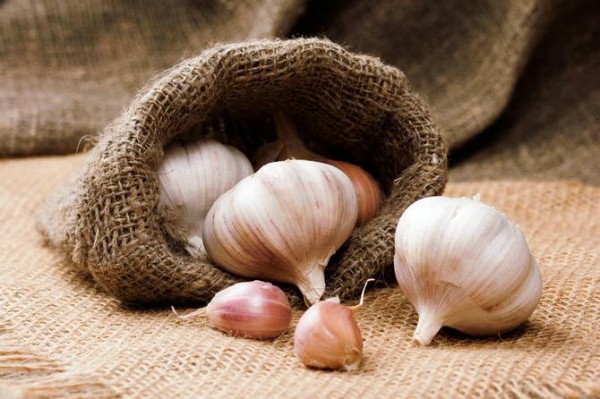 How to store garlic after digging at home