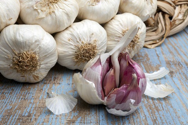 How to store garlic in a city apartment: ways