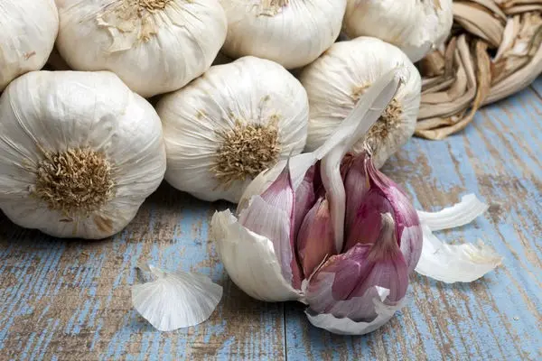 How to store garlic in a city apartment: ways