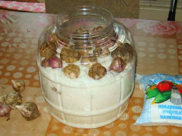 How to store garlic in a jar 