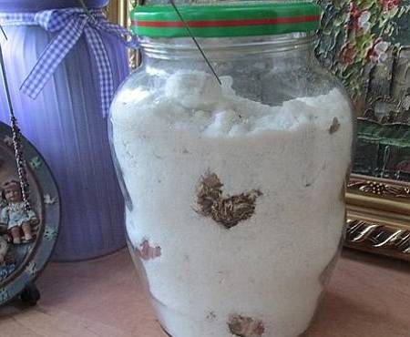 How to store garlic in a jar 