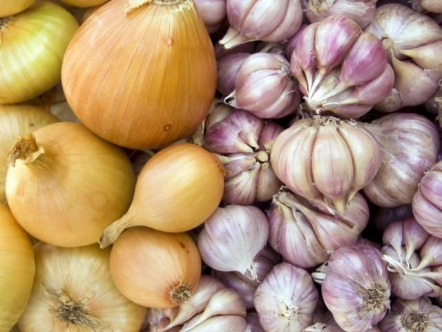 How to store garlic in a jar 