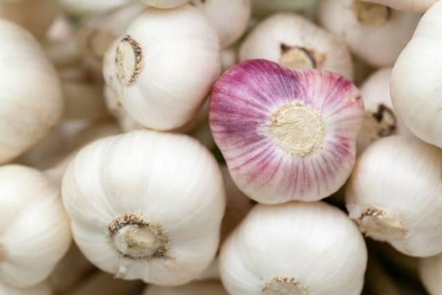 How to store garlic in the apartment 