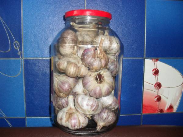 How to store garlic so that it does not dry out 