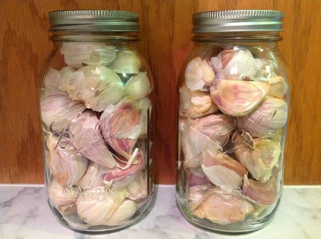 How to store garlic so that it does not dry out 