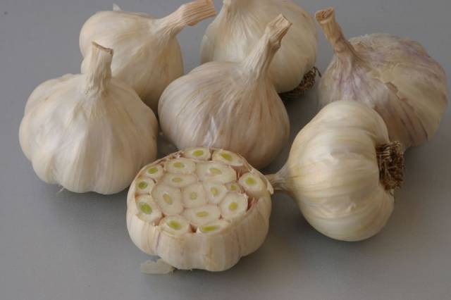 How to store garlic so that it does not dry out 