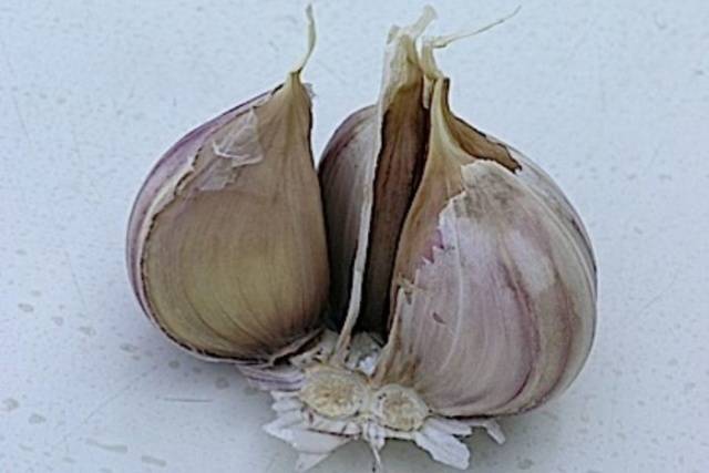 How to store garlic so that it does not dry out 