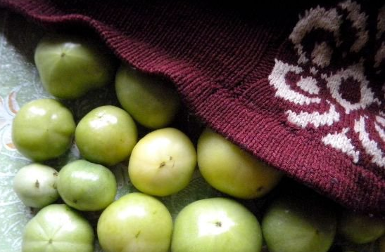 How to store green tomatoes so they turn red