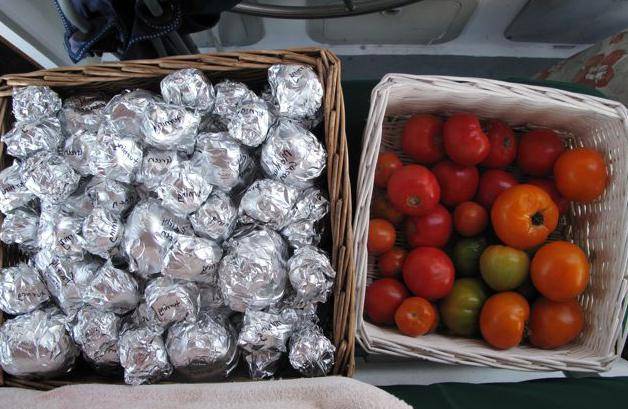 How to store green tomatoes so they turn red