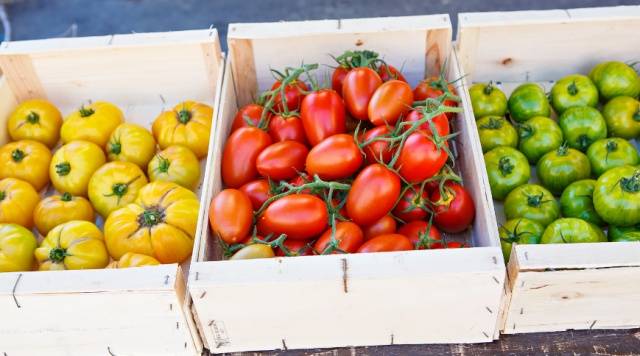 How to store green tomatoes so they turn red at home