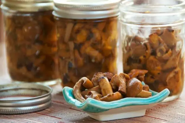 How to store mushrooms after harvest and for the winter