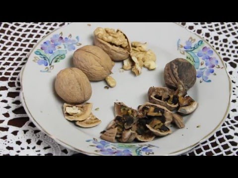 How to store nuts at home: follow grandmothers advice